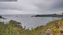 ./images/calvert/foggy-cove/20260607/foggy-cove20260607_191501M.jpg