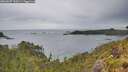 ./images/calvert/foggy-cove/20260607/foggy-cove20260607_192001M.jpg