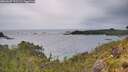 ./images/calvert/foggy-cove/20260607/foggy-cove20260607_193501M.jpg