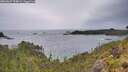 ./images/calvert/foggy-cove/20260607/foggy-cove20260607_194001M.jpg
