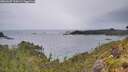 ./images/calvert/foggy-cove/20260607/foggy-cove20260607_194501M.jpg
