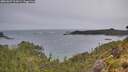 ./images/calvert/foggy-cove/20260607/foggy-cove20260607_202001M.jpg