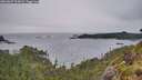 ./images/calvert/foggy-cove/20260607/foggy-cove20260607_205001M.jpg