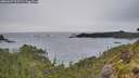 ./images/calvert/foggy-cove/20260607/foggy-cove20260607_205501M.jpg