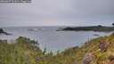 ./images/calvert/foggy-cove/20260607/foggy-cove20260607_211001M.jpg