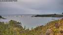 ./images/calvert/foggy-cove/20260607/foggy-cove20260607_212501M.jpg