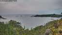 ./images/calvert/foggy-cove/20260607/foggy-cove20260607_214501M.jpg