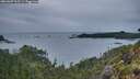 ./images/calvert/foggy-cove/20260607/foggy-cove20260607_215501M.jpg