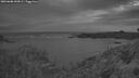 ./images/calvert/foggy-cove/20260608/foggy-cove20260608_043001M.jpg