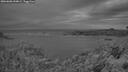 ./images/calvert/foggy-cove/20260608/foggy-cove20260608_044002M.jpg