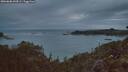 ./images/calvert/foggy-cove/20260608/foggy-cove20260608_044501M.jpg