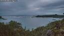 ./images/calvert/foggy-cove/20260608/foggy-cove20260608_045002M.jpg