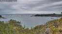 ./images/calvert/foggy-cove/20260608/foggy-cove20260608_052501M.jpg