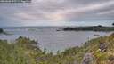 ./images/calvert/foggy-cove/20260608/foggy-cove20260608_053501M.jpg