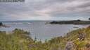 ./images/calvert/foggy-cove/20260608/foggy-cove20260608_054001M.jpg