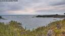 ./images/calvert/foggy-cove/20260608/foggy-cove20260608_054501M.jpg