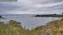./images/calvert/foggy-cove/20260608/foggy-cove20260608_055501M.jpg