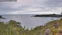 ./images/calvert/foggy-cove/20260608/foggy-cove20260608_063501M.jpg