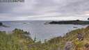 ./images/calvert/foggy-cove/20260608/foggy-cove20260608_064002M.jpg