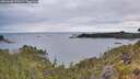 ./images/calvert/foggy-cove/20260608/foggy-cove20260608_070501M.jpg