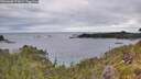 ./images/calvert/foggy-cove/20260608/foggy-cove20260608_072001M.jpg