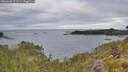 ./images/calvert/foggy-cove/20260608/foggy-cove20260608_072501M.jpg