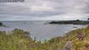 ./images/calvert/foggy-cove/20260608/foggy-cove20260608_074002M.jpg