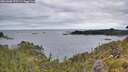 ./images/calvert/foggy-cove/20260608/foggy-cove20260608_075501M.jpg