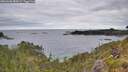 ./images/calvert/foggy-cove/20260608/foggy-cove20260608_084501M.jpg