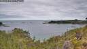 ./images/calvert/foggy-cove/20260608/foggy-cove20260608_090001M.jpg
