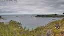 ./images/calvert/foggy-cove/20260608/foggy-cove20260608_090501M.jpg