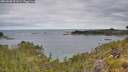 ./images/calvert/foggy-cove/20260608/foggy-cove20260608_091001M.jpg
