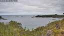 ./images/calvert/foggy-cove/20260608/foggy-cove20260608_092001M.jpg