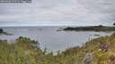 ./images/calvert/foggy-cove/20260608/foggy-cove20260608_092501M.jpg