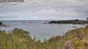 ./images/calvert/foggy-cove/20260608/foggy-cove20260608_093501M.jpg