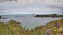 ./images/calvert/foggy-cove/20260608/foggy-cove20260608_094001M.jpg