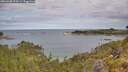 ./images/calvert/foggy-cove/20260608/foggy-cove20260608_094501M.jpg