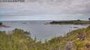 ./images/calvert/foggy-cove/20260608/foggy-cove20260608_095001M.jpg