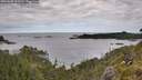 ./images/calvert/foggy-cove/20260608/foggy-cove20260608_101501M.jpg