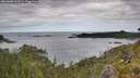 ./images/calvert/foggy-cove/20260608/foggy-cove20260608_102501M.jpg