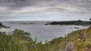 ./images/calvert/foggy-cove/20260608/foggy-cove20260608_103001M.jpg