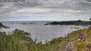 ./images/calvert/foggy-cove/20260608/foggy-cove20260608_103501M.jpg