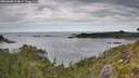./images/calvert/foggy-cove/20260608/foggy-cove20260608_104001M.jpg