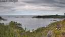 ./images/calvert/foggy-cove/20260608/foggy-cove20260608_104501M.jpg