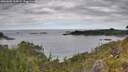 ./images/calvert/foggy-cove/20260608/foggy-cove20260608_105002M.jpg