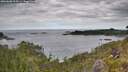 ./images/calvert/foggy-cove/20260608/foggy-cove20260608_105501M.jpg