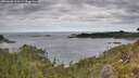 ./images/calvert/foggy-cove/20260608/foggy-cove20260608_110001M.jpg