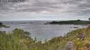 ./images/calvert/foggy-cove/20260608/foggy-cove20260608_110501M.jpg