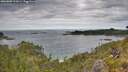 ./images/calvert/foggy-cove/20260608/foggy-cove20260608_111001M.jpg