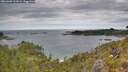 ./images/calvert/foggy-cove/20260608/foggy-cove20260608_112001M.jpg